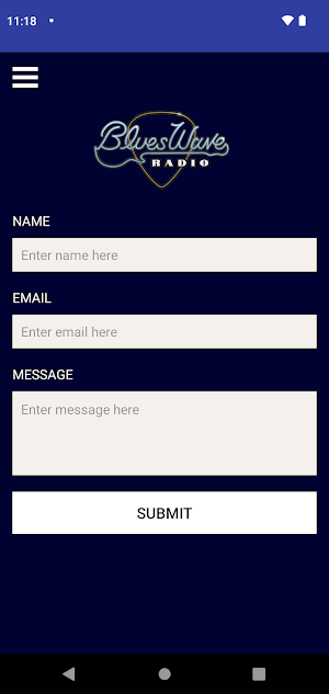 BluesWave Radio Screenshot 3
