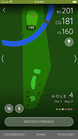 Centennial Golf Course Screenshot 3