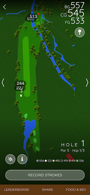Saddle Creek Golf Club Screenshot 2