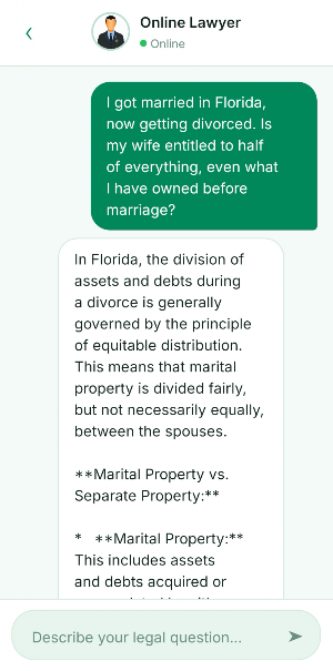Online Lawyer Screenshot 2