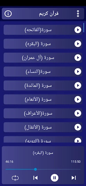 مصحف الشيخ العفاسي بدون نت Screenshot 2