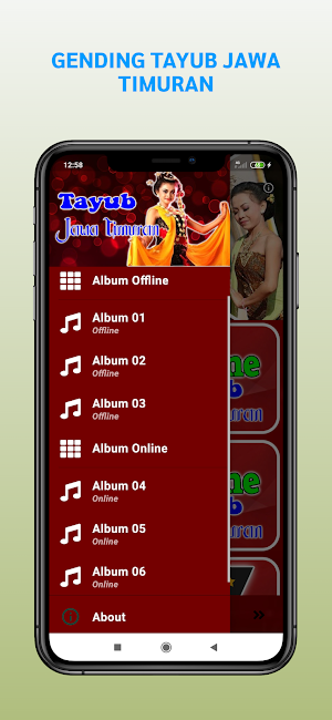Tayub Jawa Timuran MP3 Offline Screenshot 1