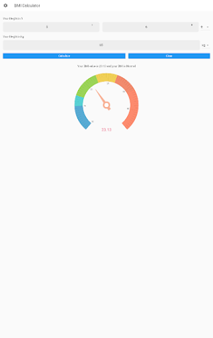 BMI Calculator Screenshot 2