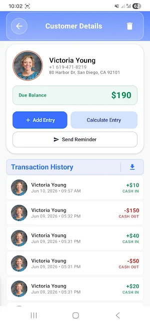 Daily Accounting Screenshot 2