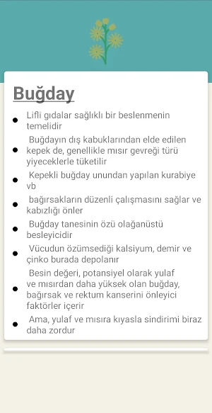 Şifalı Bitkiler Screenshot 0