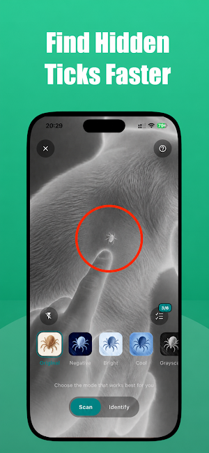 Tick Checker: Tick Identifier Screenshot 1