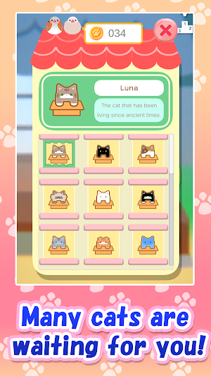 Aerial Cat Screenshot 1