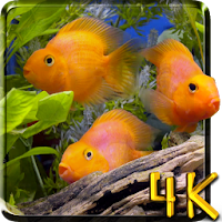 Aquarium 4K Live Wallpaper