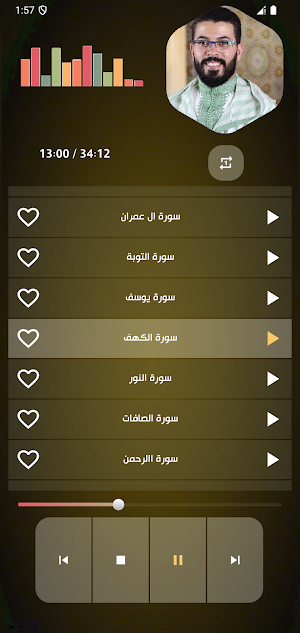 قران بصوت هشام الهراز بدون نت Screenshot 3