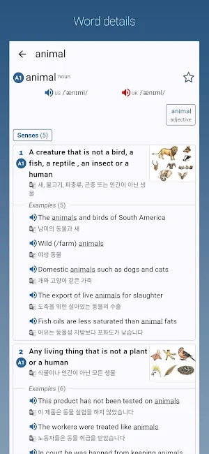 English-Korean Dictionary Pro Screenshot 0