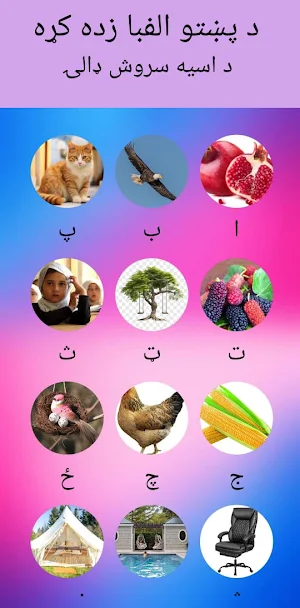 Pashto Alphabet Learning پښتو Screenshot 2