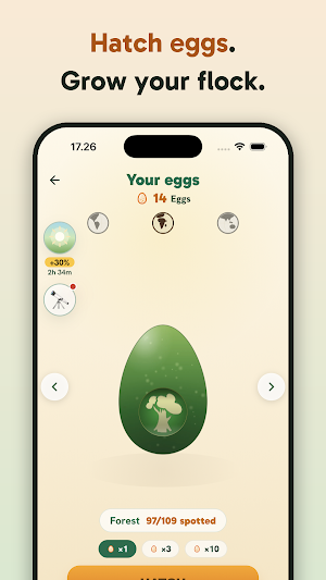 Birdey: Real Bird Card Game Screenshot 3