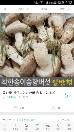 착한송이송향버섯 Screenshot 1