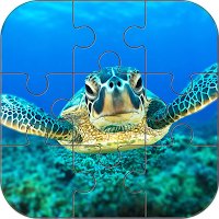 Ocean Puzzle
