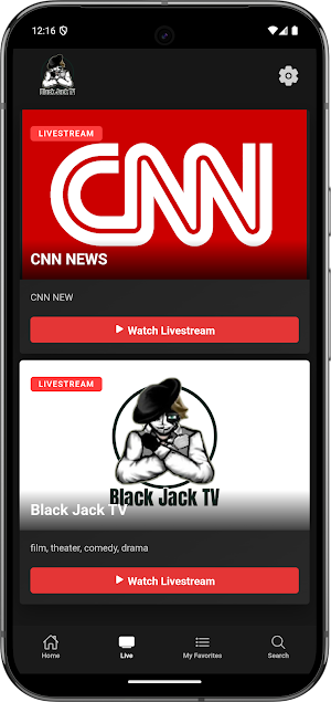 BJE TV Screenshot 1