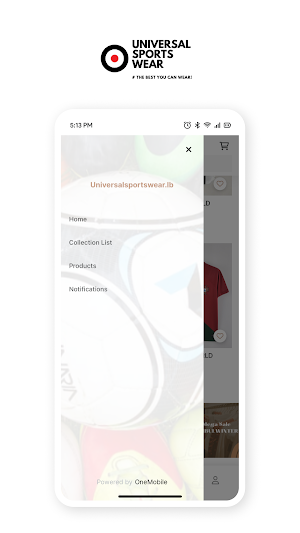 UNIVERSALSPORTSWEAR Screenshot 3