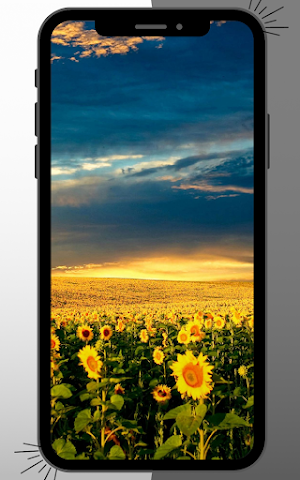 Sunflower Wallpaper Screenshot 2