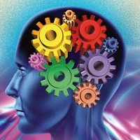 Brain Trainers