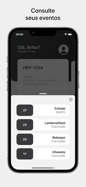 Koru Associados Screenshot 2