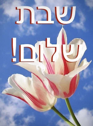 שבת שלום Screenshot 0