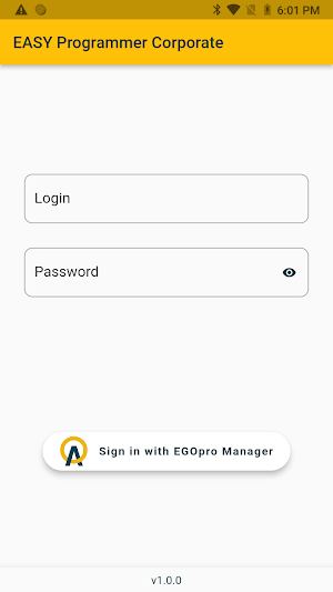 EASY Programmer Corporate Screenshot 0