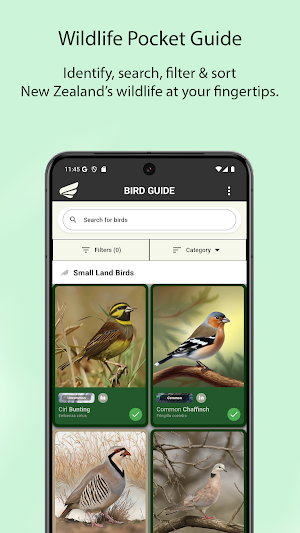 Wingmate Birds New Zealand Screenshot 3