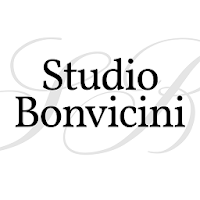 Studio Bonvicini