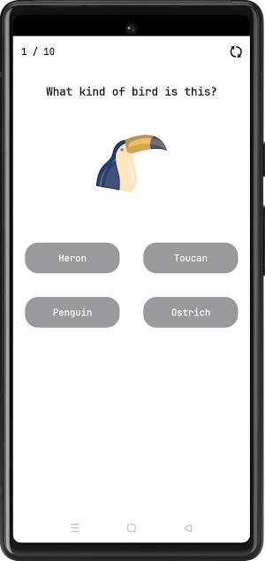 Birds Quiz Screenshot 2