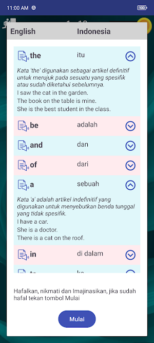 300 Popular English Words Screenshot 3