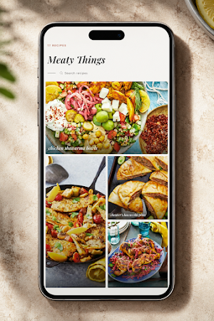 Mediterranean Dish Screenshot 2