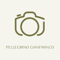 Gianfranco Pellegrino
