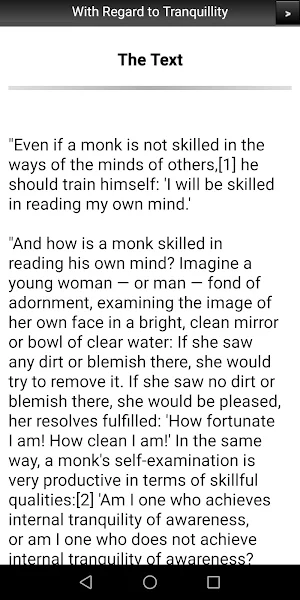 With Regard to Tranquillity Screenshot 1