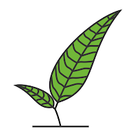 Groen Graag
