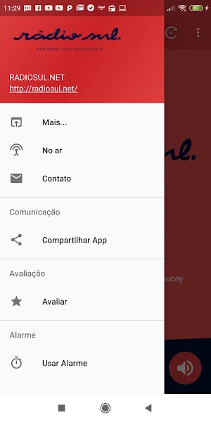 RADIOSUL.NET Screenshot 1