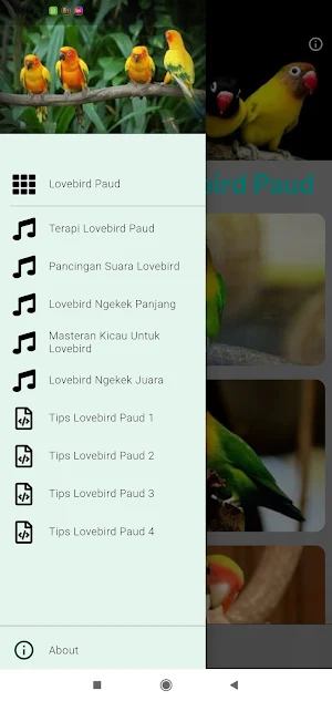 Masteran Lovebird Paud Konslet Screenshot 0