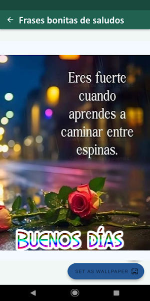 Greetings & beautiful phrases Screenshot 3