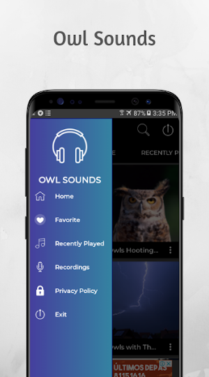 Owl Alarm Clock Sleep Screenshot 0