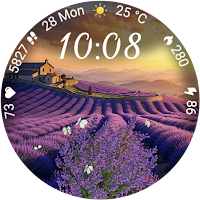 Lavender and Butterflies