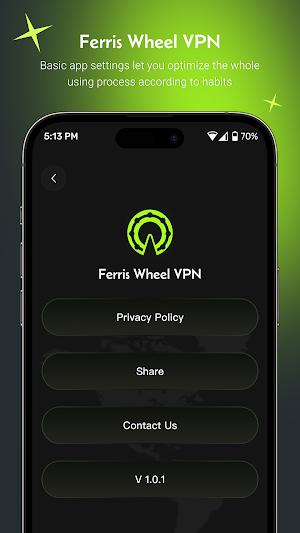 Ferris Wheel VPN Screenshot 3