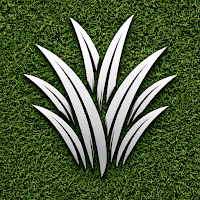 Lawn Care AI: Grass Identifier