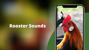 Rooster Sounds - Morning Alarm Sounds Ringtone Screenshot 0