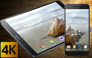 Sea Shell 4K Live Wallpaper Screenshot 0