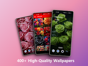 Rose flower wallpapers offline Screenshot 1
