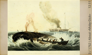 Moby-Dick Screenshot 2