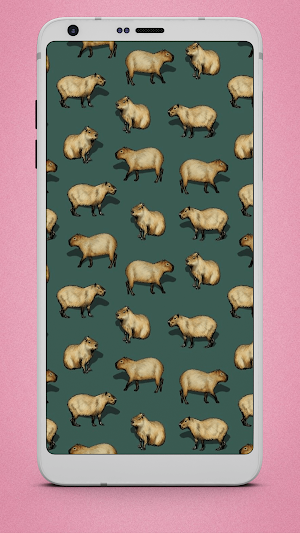 Capybara Wallpapers Screenshot 0