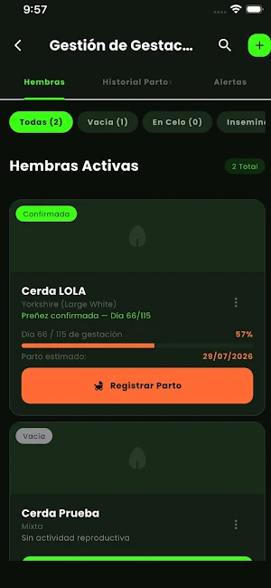 Control Porcino Screenshot 2