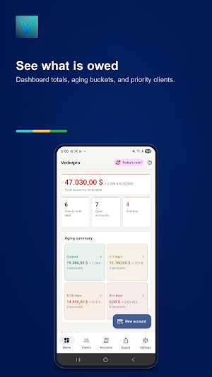 Vedorpro - Client balances Screenshot 1