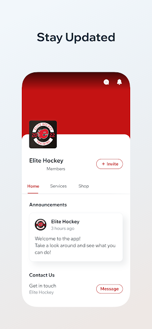 Elite Hockey Screenshot 2