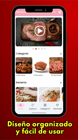 Videos Recetas Carne De cerdo Screenshot 3