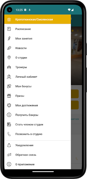 По Классике - балет и растяжка Screenshot 2